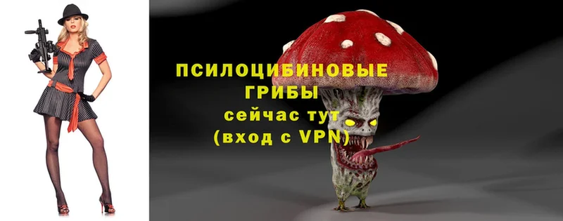 Галлюциногенные грибы Magic Shrooms  ОМГ ОМГ ONION  Благодарный  где продают  